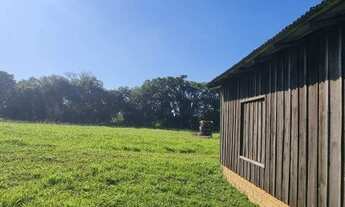 Imagem 14: Sítio 3 hectares em Viamão, 500 metros RS040, para investidor!