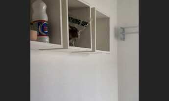 Imagem 7: Apartamento para aluguel tem 41 metros quadrados com 2 quartos em Alvorada - Manaus - AM