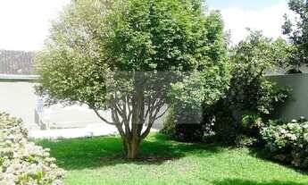 Imagem 5: Imóvel localizado entre a avenida Maringá e Jacob Macanhan, amplo espaço de terreno