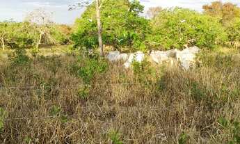 Imagem 7: Fazenda/Sítio/Chácara para venda possui 540000 metros quadrados com 3 quartos