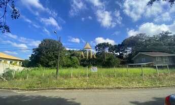 Imagem 3: Amplo Terreno localizado em Santa Felicidade. Proximo a rua Fredolin Wolf