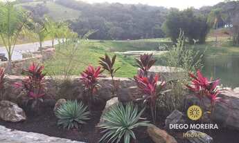 Imagem 3: Terrenos á venda com área de 20.000 mil m²