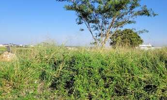 Imagem 3: Terreno em Fernandópolis
