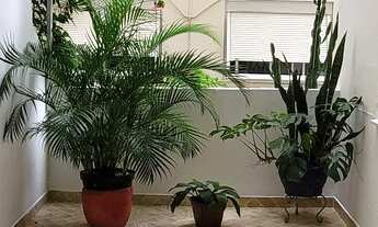 Imagem 2: Ipanema 2 quartos com Varanda Térrea