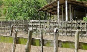 Imagem 3: Fazenda à venda, 270 Hectares por R$ 3.500.000 - Região de Mamanguape-PB