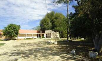 Imagem 7: S0273 - Casa com 5 dormitórios para alugar, 790 m² por R$ 6.000/mês - Ilha de Santa Luzia