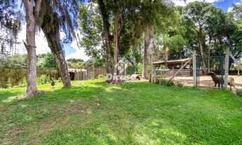 Imagem 4: AREA DE 5429M² NO BOTIATUVINHA / SANTA FELICIDADE