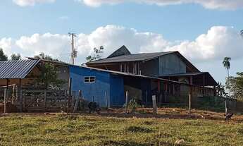 Imagem 6: Fazenda de Luxo de 11 alqueires - a 120km de Goiânia sentido São Luiz