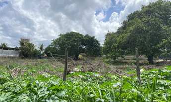 Imagem 5: Terreno com 3.250 m2 na BR 304