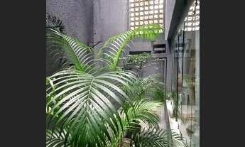 Imagem 6: Imóvel Comercial em Casa Forte