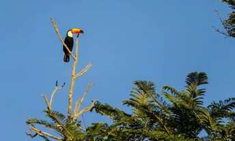 Imagem: Loanda Lote Urbano à partir de 1500 metros