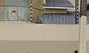 Imagem: Aluga-se casa semi mobilhada