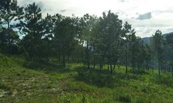 Imagem 2: Lote/Terreno para venda tem 1000 metros quadrados em Tapera Grande - Mairiporã - SP