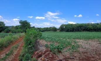 Imagem 3: AR 1021) 12 Hectares - Colonia Mousquer