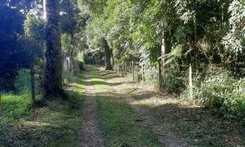 Imagem 6: Chácara ótima oportunidade