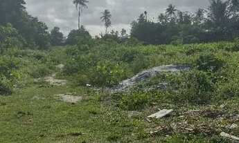 Imagem 3: Terreno conde Bahia
