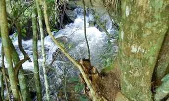 Imagem 3: Venda de terreno sul de mg