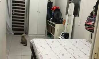 Imagem: Kitnet cruz das almas