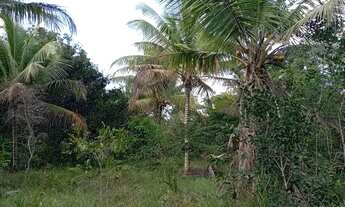 Imagem 4: Vende-se ou troca