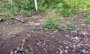 Imagem 4: Terreno no Goiabal