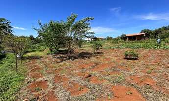 Imagem 4: Chácara perto de Goianira