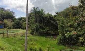 Imagem 5: CHÁCARA EM ANTONIO CARLOS