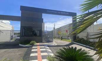 Imagem: Chapada do Bosque