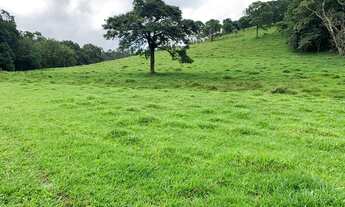 Imagem 6: VC - Vendo Terreno de 1.200m2, com negociação Facilitada