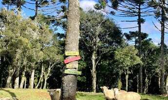 Imagem 4: Venda de sítio com Chalé no topo da montanha em Urubici - SC