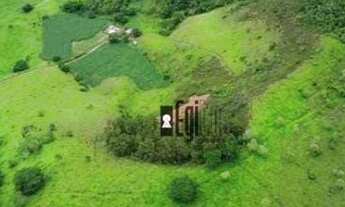 Imagem 5: Fazenda à Beira do Asfalto em Tabuleiro !!!