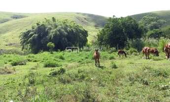 Imagem: SÍTIO PLANO, COM CASA, PROXIMO À VIA DUTRA