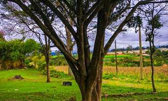 Imagem 7: Lote/Terreno para venda com 500 metros quadrados em Soares - Ibiúna - SP