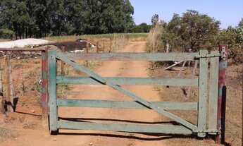 Imagem 7: Chácaras em Anápolis - próximo ao DAIA