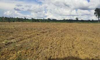 Imagem 5: Fazenda com 6.500.000m2 na AM-254 Careiro Castanho. Ótimas Benfeitorias e muitos Ativos