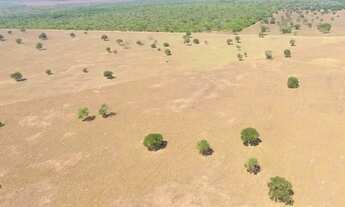 Imagem 4: Fazenda em Silvanopolis. Dupla aptidão