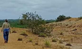 Imagem 5: Fazenda em Jandaíra, Litoral Norte da Bahia