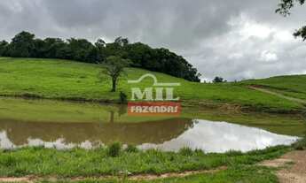 Imagem 7: Fazenda 191 alqueires ( 924 hectares) ipameri -GO