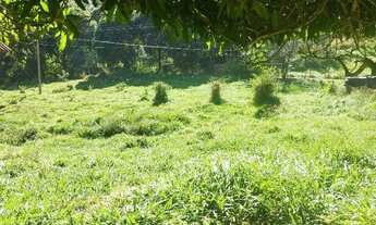 Imagem 7: Oportunidade em santa Leopoldina próximo ao bar da vera