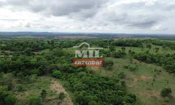 Imagem 6: Chácara 2 alqueires e 4 litros (9,7 hectares) Cezarina - Go