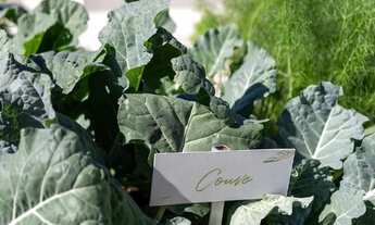 Imagem 5: Lote Jardins Versalhes