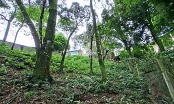 Imagem 2: Imóvel para venda com 535 m² em Barreirinha - Curitiba - PR