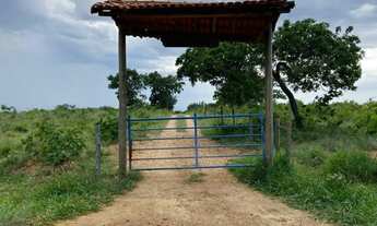 Imagem: Fazenda de 74 hequitares a 32 km de moc