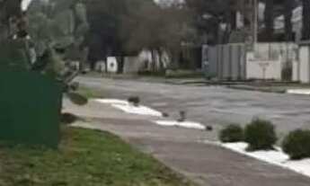 Imagem 3: Aluga curitiba hauer mobiliado muito completo e só vir com as malas