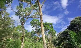 Imagem 3: 20 mil MTS rico em agua 79 mil reais 14 km da rodovia Regis Bittencourt