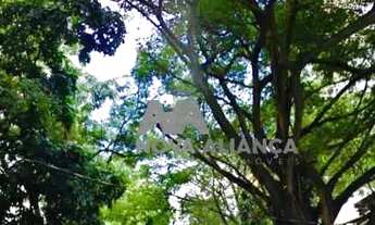 Imagem 5: Sala - / Comercial / Lagoa