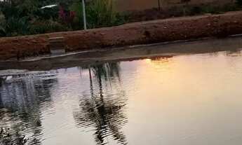 Imagem 5: Chácara a venda em Brasília!!!