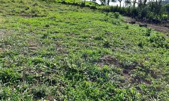 Imagem 6: 100% escriturado