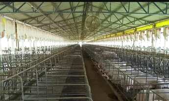 Imagem 2: Área Rural para Venda em Ouro Verde do Oeste