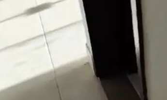 Imagem 3: Alugo kitnet no varjão 1 quarto