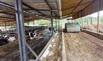 Imagem 7: Chácara Chácara com venda por R$2.500.000